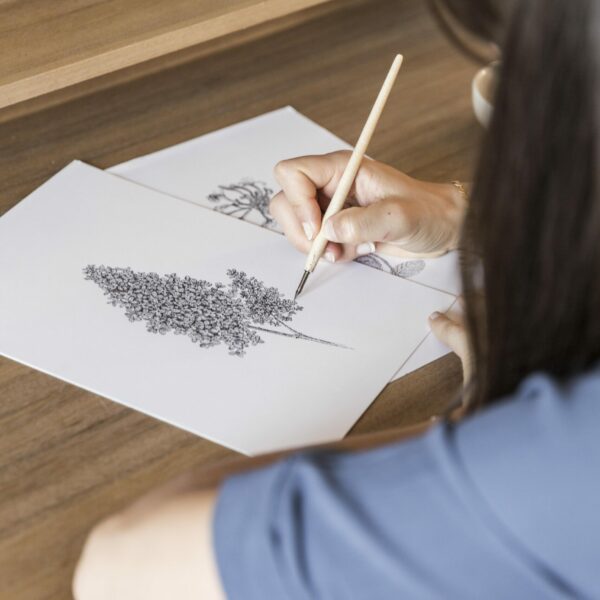 Illustration de la carte postale