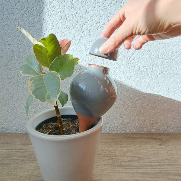 Ollas à planter ouvert