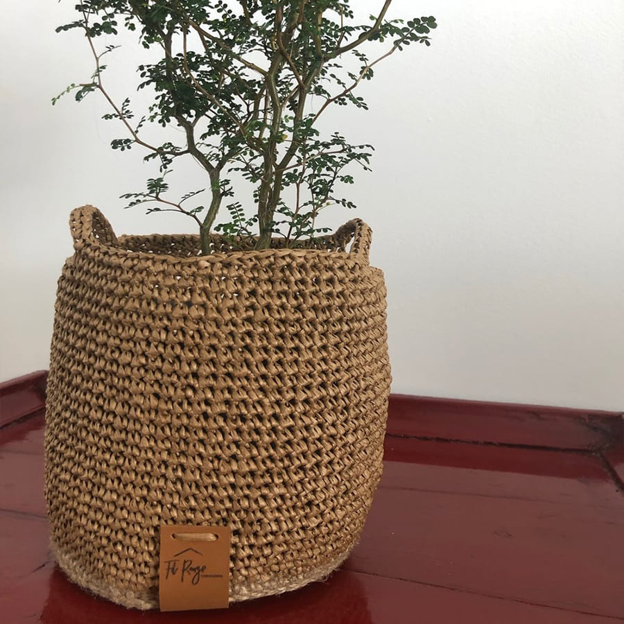 Cache Pot Osier Plante